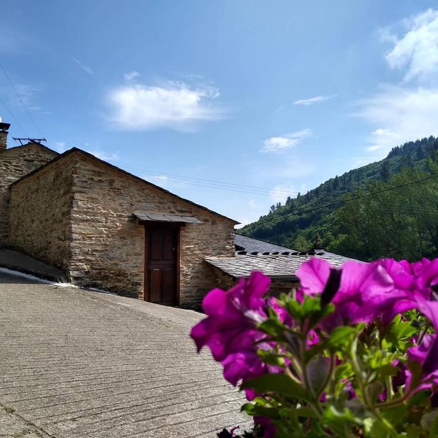 Casa Freixe Apartamentos Rurales Santa Eulalia de Oscos Zewnętrze zdjęcie