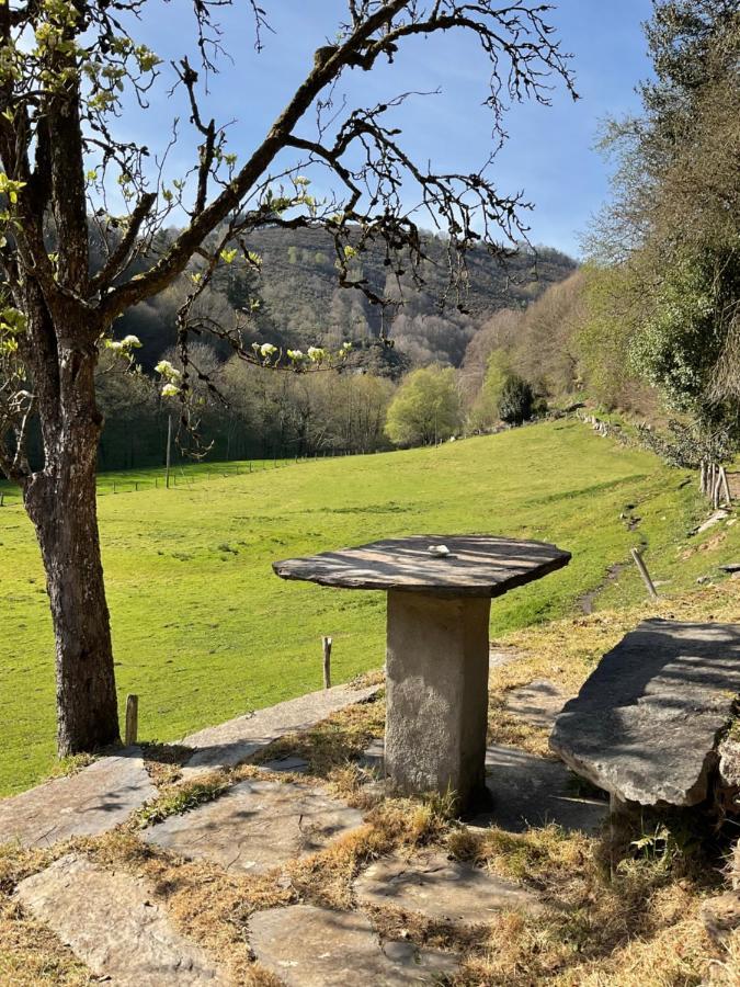 Casa Freixe Apartamentos Rurales Santa Eulalia de Oscos Zewnętrze zdjęcie